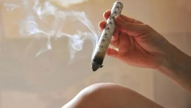 【二十四节气养生】惊蛰｜响起春天的前奏