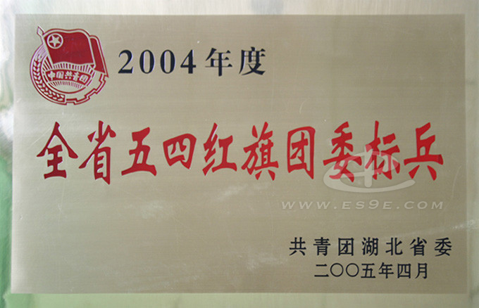 全省五四红旗团委标兵