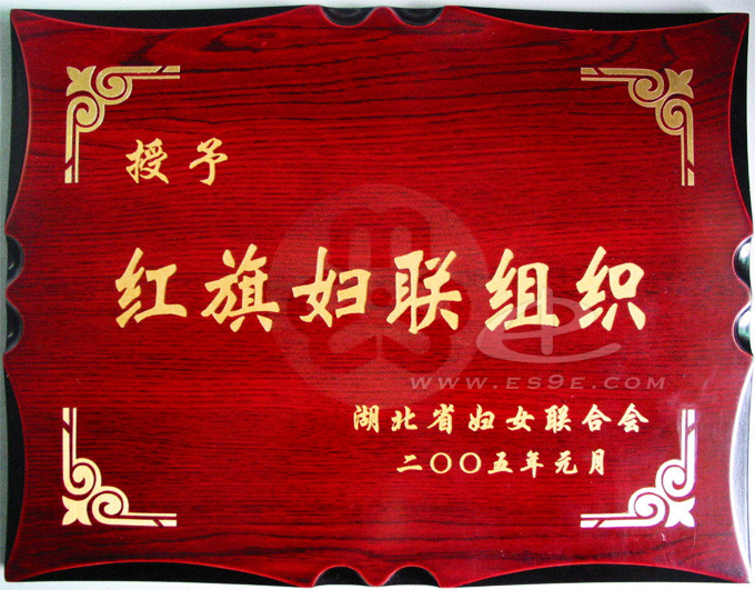 省红旗妇联组织奖牌