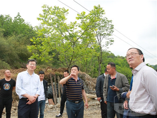 在基地进行实地考察