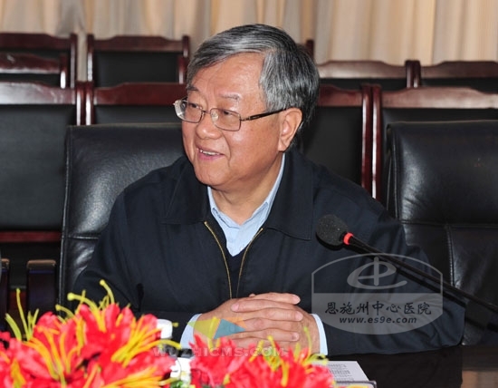 中华医学会副会长吴明江讲话