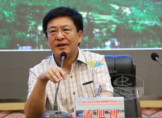 湖北省医学会秘书长潘旭初教授致辞