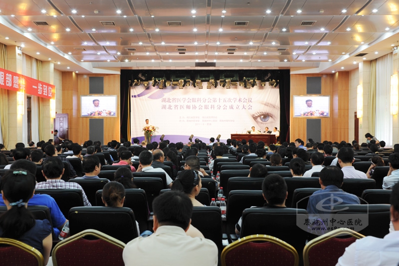 湖北省医学会眼科分会第十五次学术年会暨省医师协会眼科分会成立大会现场