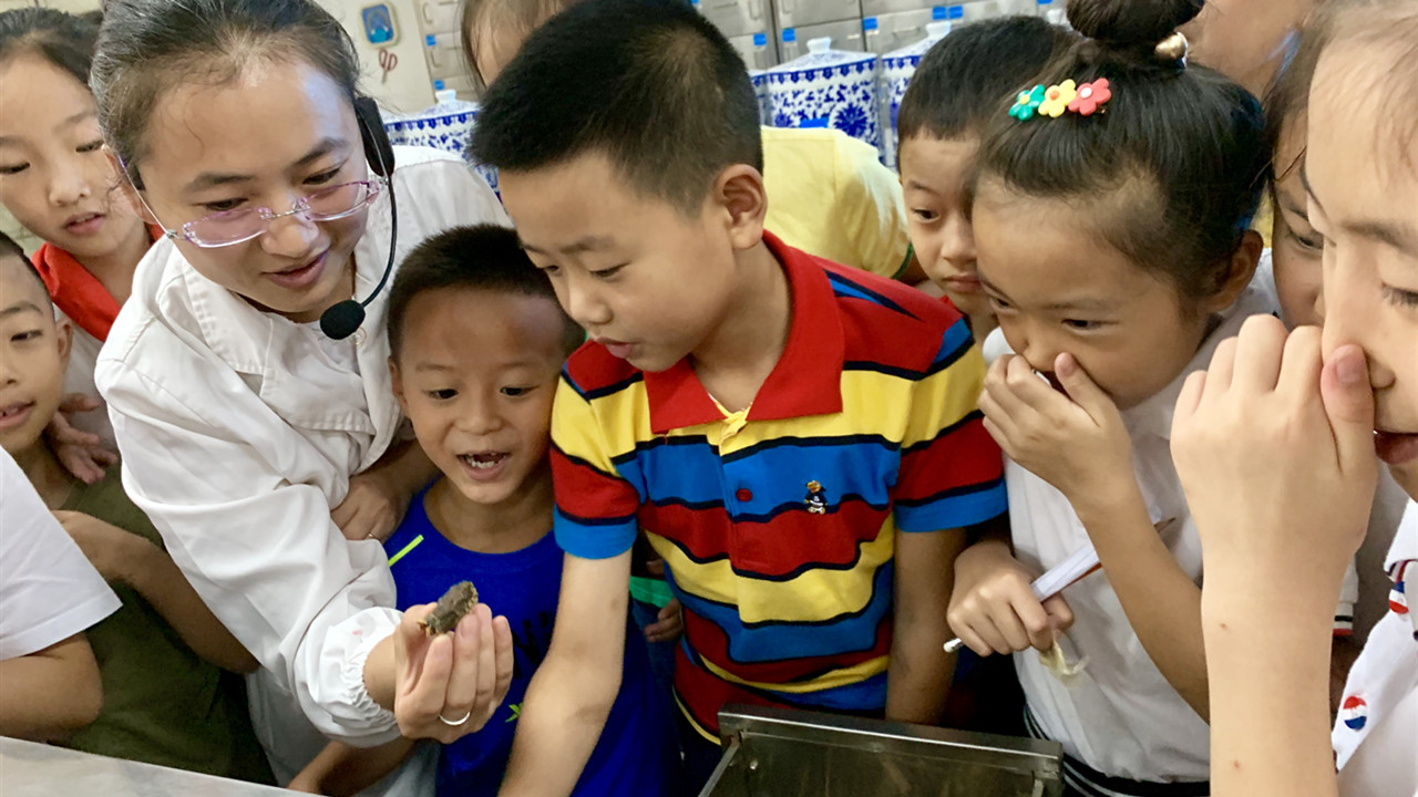 学习辨认中药材