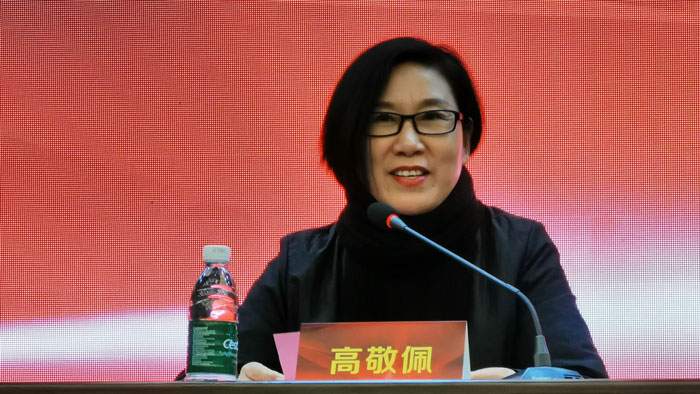 恩施州人民政府副州长高敬佩讲话