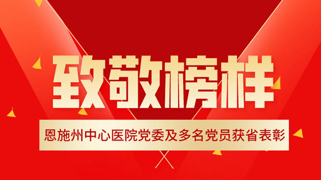 致敬榜样！恩施州中心医院党委及多名党员获省表彰