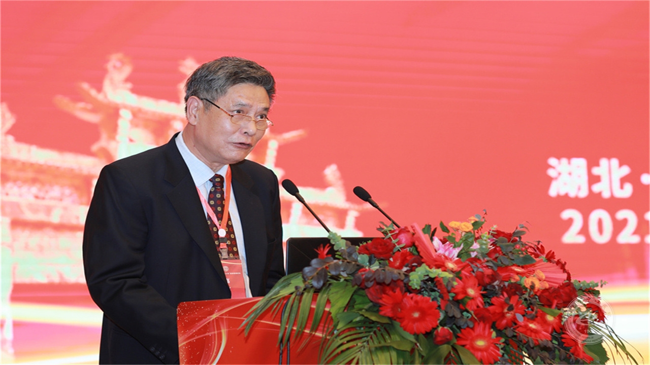 襄阳市中心医院原党委书记余志运发言