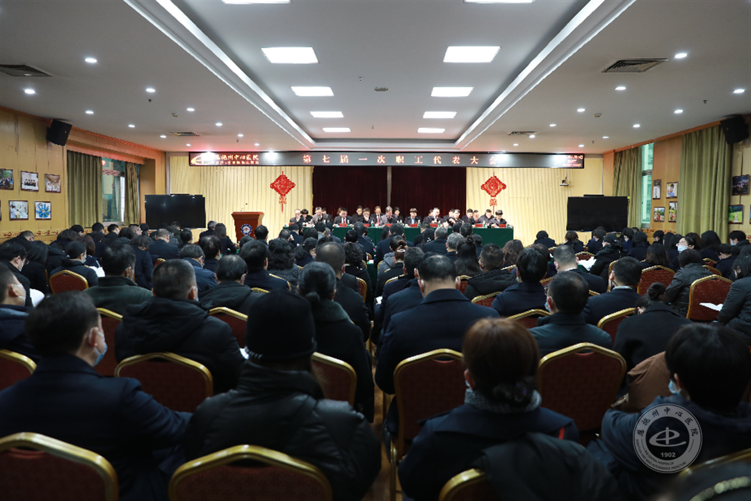 会议全景